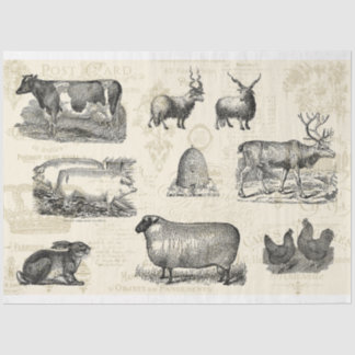 On The Farm French Farmhouse Mono Decoupage Tissue Paper