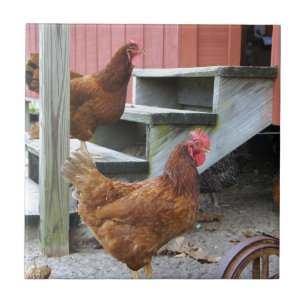 On the Farm Tile