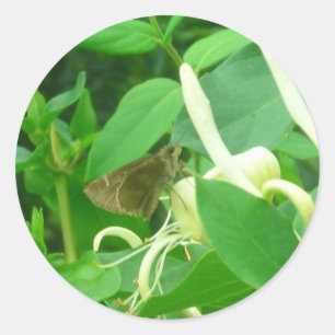 On the Honeysuckle Stickers