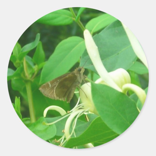 On the Honeysuckle Stickers (Front)