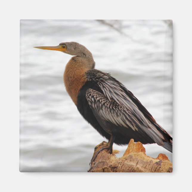 On the Lookout Magnet (Front)
