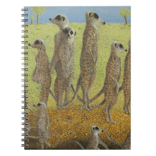 On the lookout notebook
