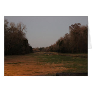 On the open range