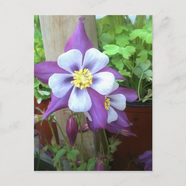 On The Post Postcard (Front)