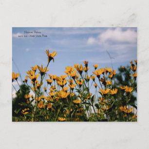 On the Prairie, Missouri Prairie Postcard