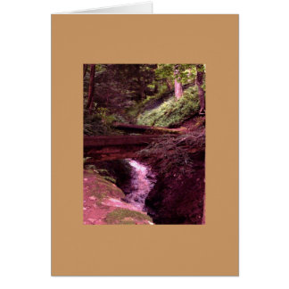 On the Right Path Card