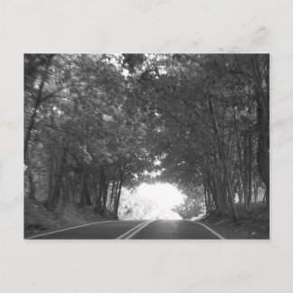 On The Road Again Postcard