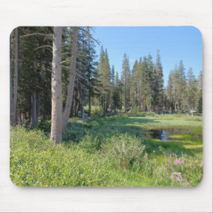 On the Road to Lake Tahoe Mouse Pad