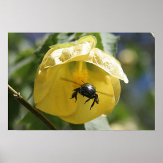 On the search poster