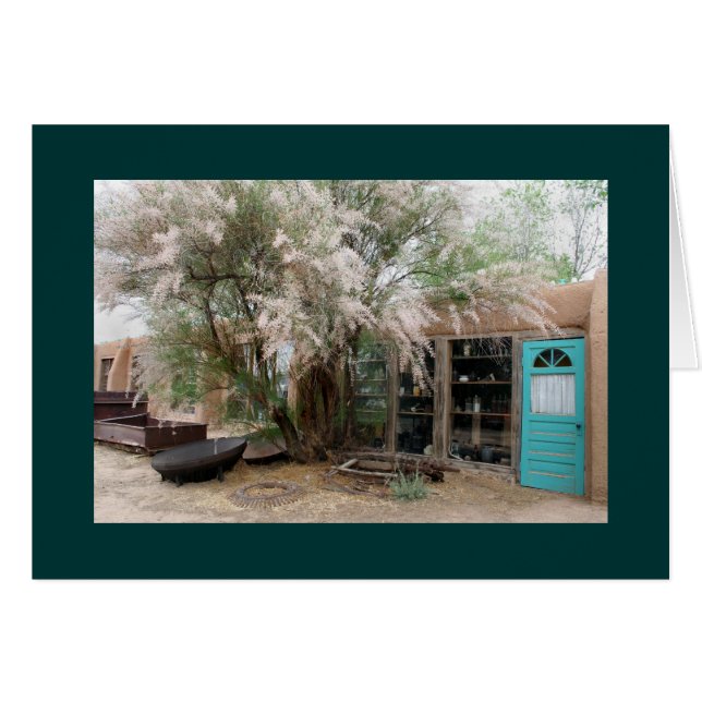 On the Turquoise Trail (Front Horizontal)