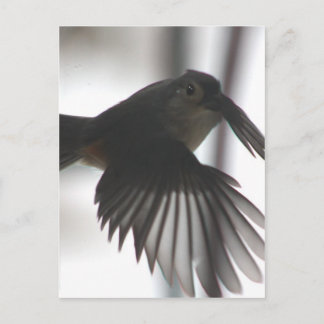 On the wingt postcard