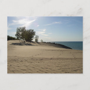 On top of Mt. Baldy, Indiana Dunes National Park Postcard