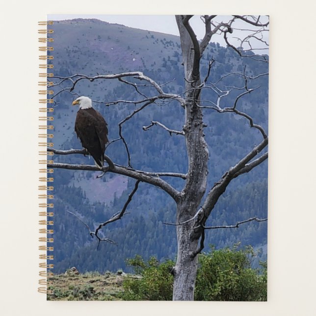 On Watch Planner (Front)