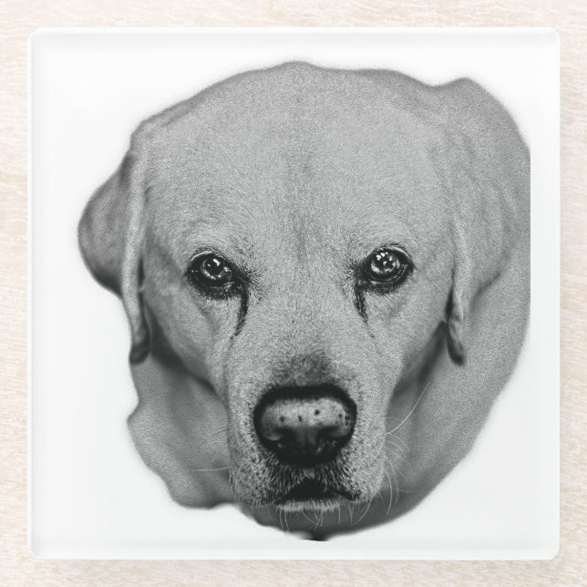 On You, Easy Sip Glass Coaster (Front)