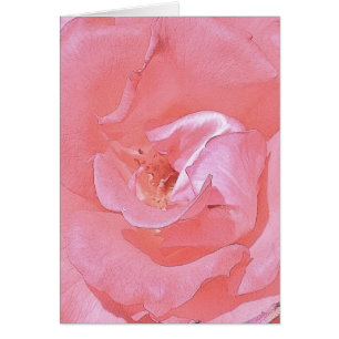 On Your Journey Together - Pink Rose