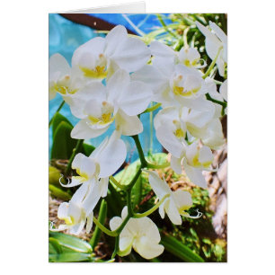 On Your Journey Together Wedding Card