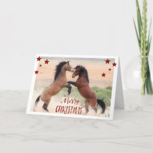 Onaqui Wild Christmas Holiday Card