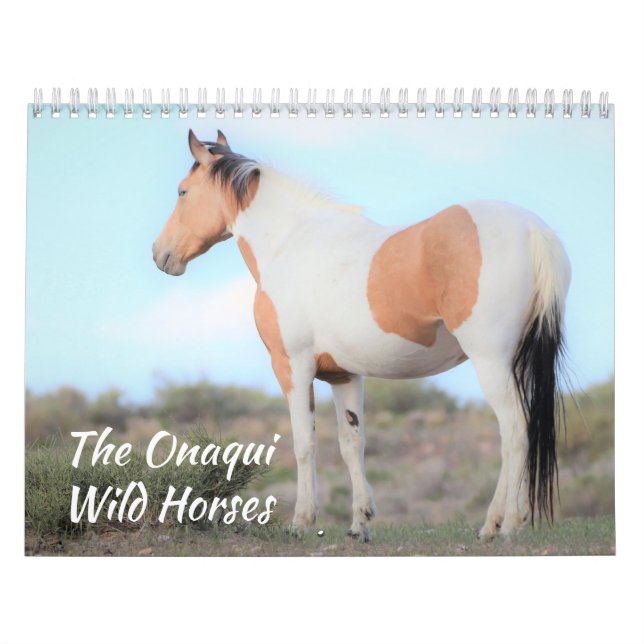 Onaqui Wild Horses Calendar (Cover)