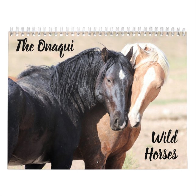 Onaqui Wild Horses Calendar (Cover)