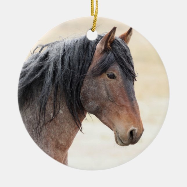 Onaqui Wild Horses Ornament (Front)