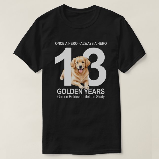 Once a Hero, Always a Hero - dark T-Shirt (Design Front)