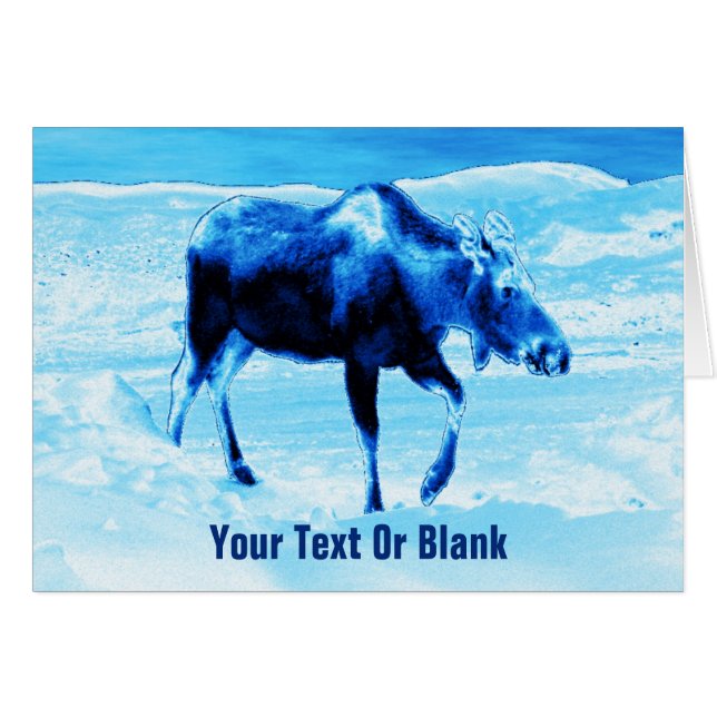 Once In A Blue Moose (Front Horizontal)