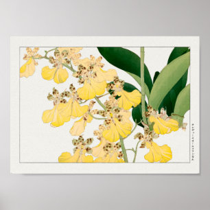 Oncidium by Tanigami Konan Poster