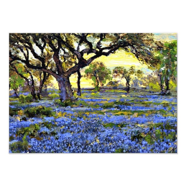 Onderdonk - Old Live Oak Tree and Bluebonnets Photo Print (Front)