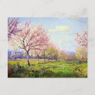 Onderdonk - Peach Orchard, Postcard