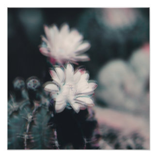One 16" photo print