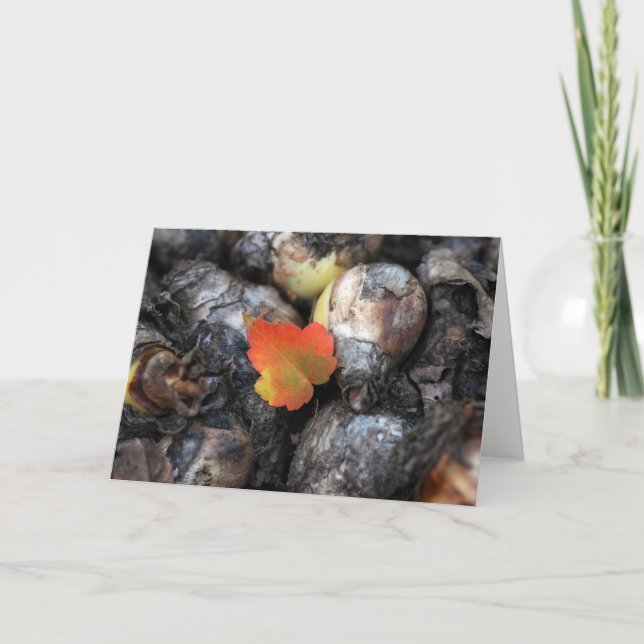 One and Only | Fall Leaf Photography Blank Card (Front)