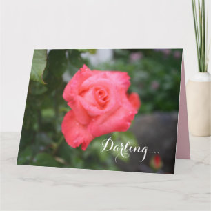 One Beautiful Pink Rose, Big Greeting Card