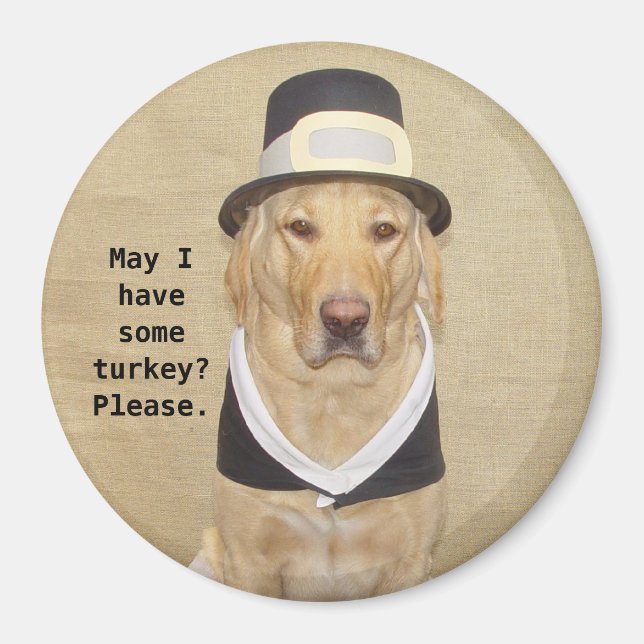 One Blessed Pilgrim Magnet (Front)