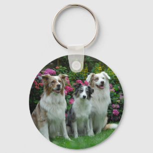 one Border Collie, blue-merle and two Australia Key Ring