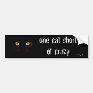 one cat short bumper sticker