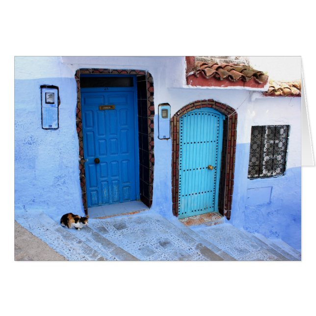 One Cat - Two Blue Moroccan Doors (Front Horizontal)