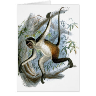 One Cheeky Monkey CC0366 Children's Card