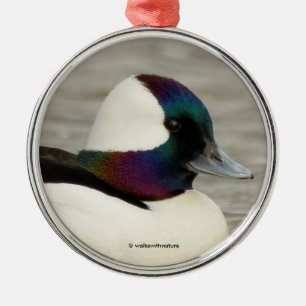 One Curious Bufflehead Metal Tree Decoration