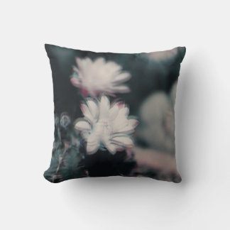 One Cushion