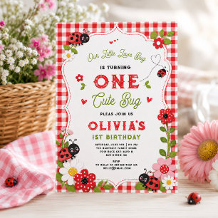 One Cute Bug Floral Ladybug 1st Birthday party Invitation