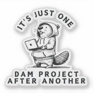 One Dam Project After Another