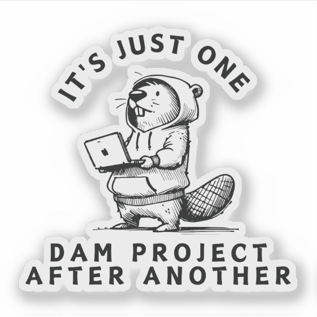 One Dam Project After Another (Front)