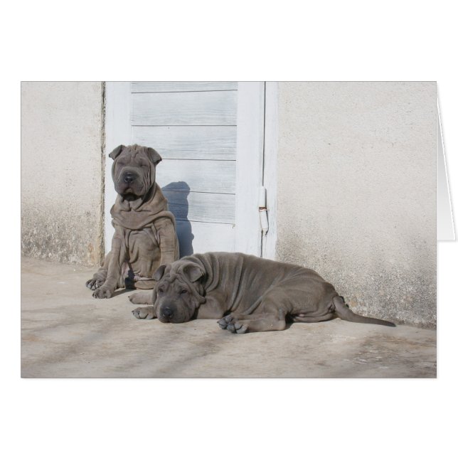 One Day at a Time... (Front Horizontal)