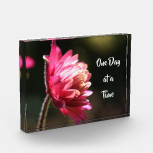 One Day At A Time Quote Flower In Sunlight Photo Block