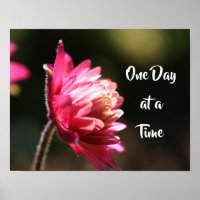 One Day At A Time Quote Flower In Sunlight