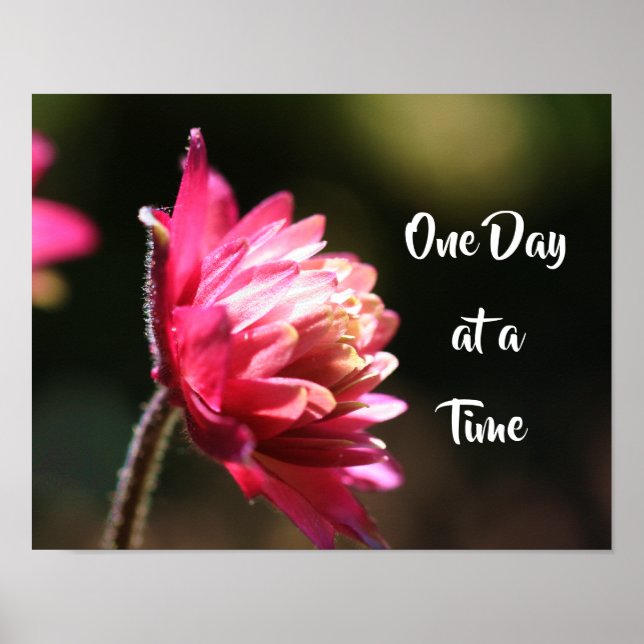 One Day At A Time Quote Flower In Sunlight Poster (Front)