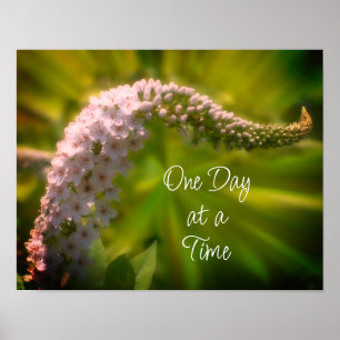 One Day At A Time White Wildflower Inspirational Poster
