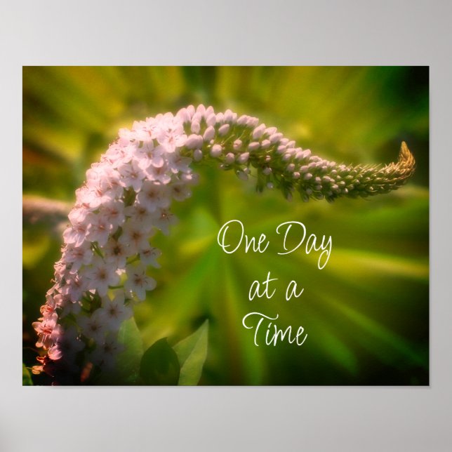 One Day At A Time White Wildflower Inspirational Poster (Front)