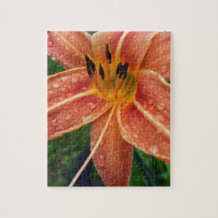 One day lily jigsaw puzzle