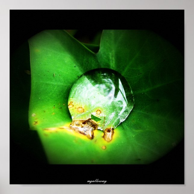 one drop poster (Front)